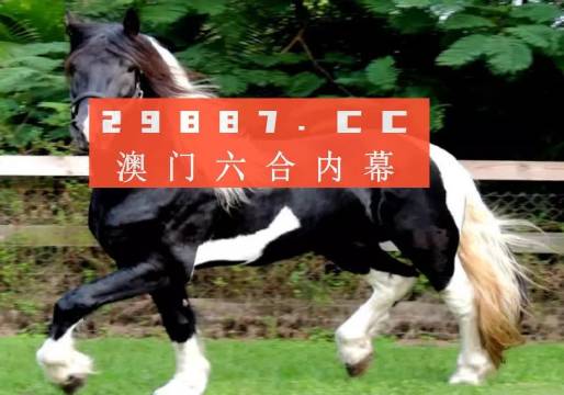 澳门与香港一肖一码一待一中,词语释义解释落实|丰富释义